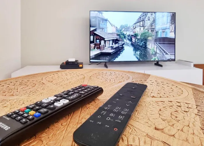 Le Cocon Du Koenigsbourg Parking Apartamento